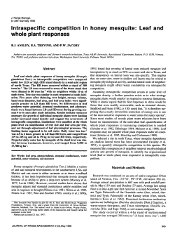 Intraspecific competition in honey mesquite: Leaf and whole plant