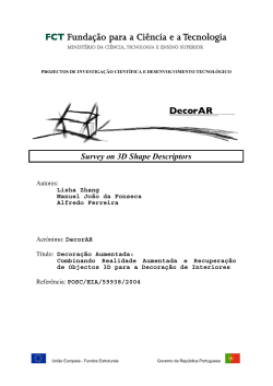 Survey on 3D Shape Descriptors