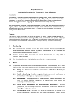 Terms of Reference: Sustainability Committee