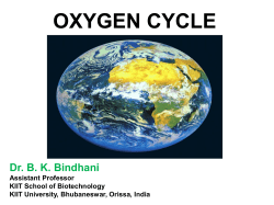 The Oxygen Cycle