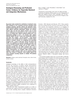 Analogical Reasoning and Prefrontal Cortex