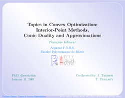 Topics in Convex Optimization: Interior
