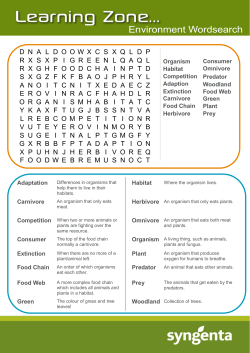 Environment Wordsearch