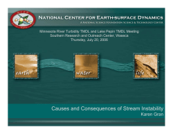 Causes and Consequences of Stream Channel Instability