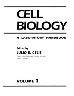 Isolation of yeast mitochondria and study of mitochondrial protein