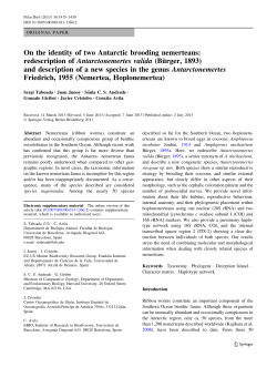 On the identity of two Antarctic brooding nemerteans: redescription