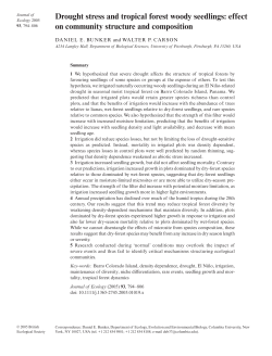 Drought stress and tropical forest woody seedlings: effect on
