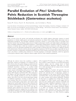 Parallel Evolution of Pitx1 Underlies Pelvic Reduction in Scottish