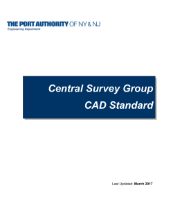 Central Survey Group CAD Standard da
