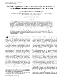 Molecular Population Genetics of Accessory Gland Protein Genes