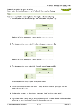 Genes, alleles and pea pods