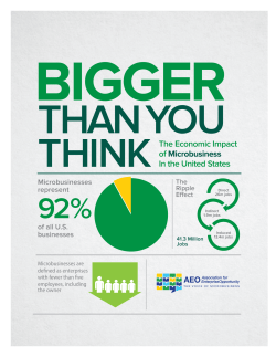 Bigger than You Think: The Economic Impact of Microbusiness in