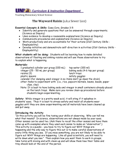 The Wayward Raisin (a.k.a Sewer Lice)