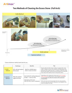 Cleaning the Excess Stone