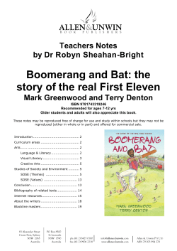 Boomerang and Bat