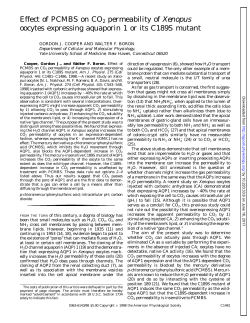 Effect of PCMBS on CO2 permeability of Xenopus - AJP-Cell