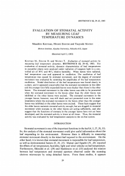 evaluation of stomatal activity by measuring leaf temperature dynamics