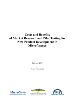 Costs and Benefits of Market Research and Pilot Testing