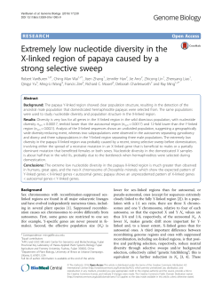 Extremely low nucleotide diversity in the X-linked