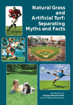 Natural Grass and Artificial Turf: Separating Myths and Facts Natural
