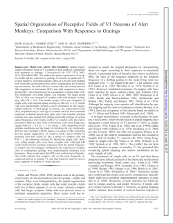 Spatial Organization of Receptive Fields of V1 Neurons of Alert