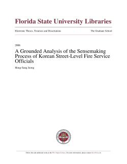 A Grounded Analysis of the Sensemaking Process of