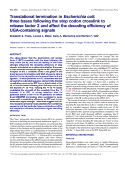 Translational termination in Escherichia coli: three bases following