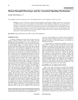 Human Basophil Phenotypes and the Associated Signaling