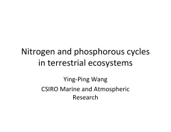 Nitrogen)and)phosphorous)cycles) in)terrestrial)ecosystems)