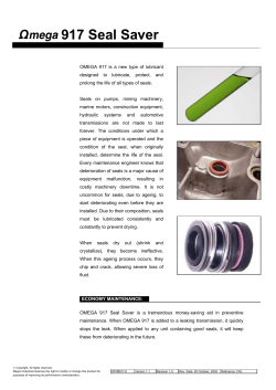 917 Seal Saver