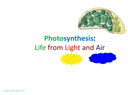 Photosynthesis: Life from Light and Air