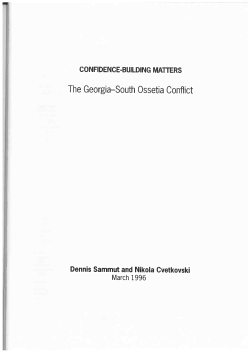 The Georgia&mdash;South Ossetia Conflict