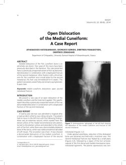 Open Dislocation of the Medial Cuneiform: A Case Report