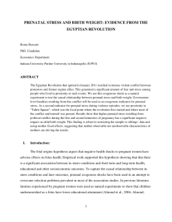 prenatal stress and birth weight: evidence from the egyptian revolution