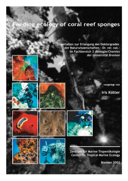 Feeding ecology of coral reef sponges - E-LIB Bremen