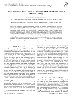 The Micronutrient Boron Causes the Development of Adventitious