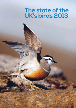 The state of the UK`s birds 2013