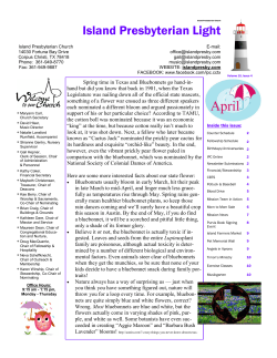 april 2016 - Island Presbyterian Church