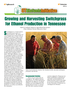 Growing and Harvesting Switchgrass for Ethanol Production in