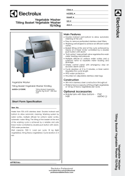 Tilting Basket Vegetable Washer 10/40kg