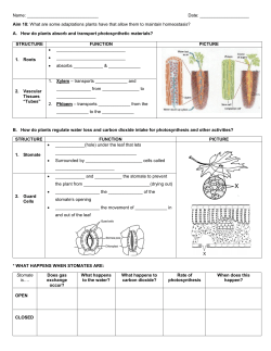 Aim 18: What are some adaptations plants have that allow them to