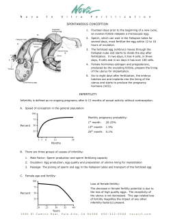 spontaneous conception infertility