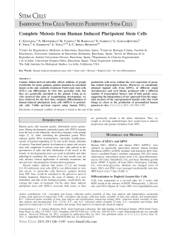 Complete Meiosis from Human Induced Pluripotent Stem Cells