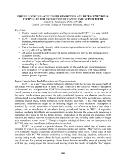 equine odontoclastic tooth resorption and hypercementosis