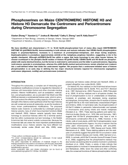 Phosphoserines on Maize CENTROMERIC