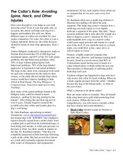 The Collar`s Role: Avoiding Spine, Neck, and Other Injuries