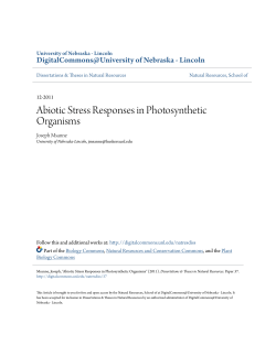 Abiotic Stress Responses in Photosynthetic Organisms