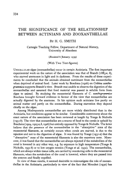 the significance of the relationship between actinians and