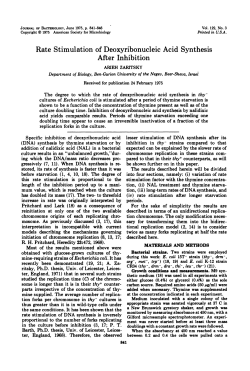 Rate Stimulation of Deoxyribonucleic Acid Synthesis After Inhibition
