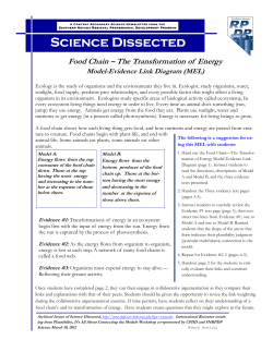 Food Chain - The Transformation of Energy MEL